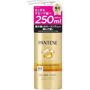 パンテーン 洗い流さないトリートメント 250m...の商品画像