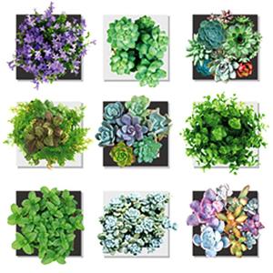 Raraland 木 植物 ウォールステッカー Yahoo ショッピング