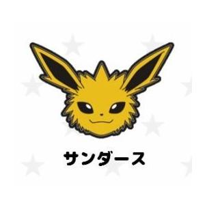 ポケモン ダイカットマグネット ピカチュウ 【2個までクリックポスト