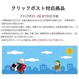 FLASH WORD フラッシュワード おまけ...の詳細画像4