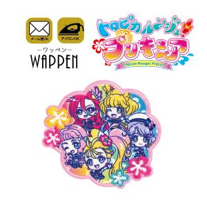 BANDAI（バンダイ） ヒーリングっど プリキュア ワッペン キャラクター