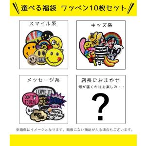 ワッペン 福袋 選べる 10枚セット アップリ...の詳細画像1