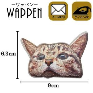 ワッペン 刺繍ワッペン 縦6.3cm×横9cm ...の商品画像