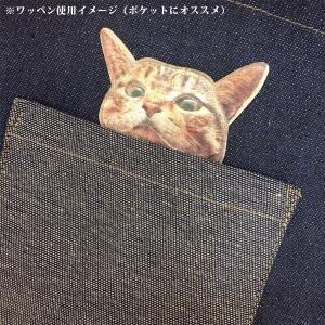 ワッペン 刺繍ワッペン 縦6.3cm×横9cm...の詳細画像2
