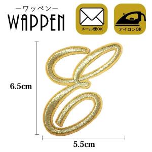 ワッペン 刺繍 アイロン おしゃれ アップリケ イニシャル Ｅ アルファベット メール便可 爆買