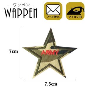 Army Air Corps WWII ミリタリー ワッペン パッチ USAAF 米軍 空軍