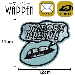 ワッペン 刺繍ワッペン 縦11cm×横12cm 口唇 くちびる アイロン可能 バッグやiPhoneケースをオリジナルに ハンドメイド アレンジ 手芸 手作り メール便 爆買