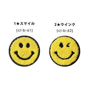 ワッペン 刺繍 おしゃれ かわいい アップリケ...の詳細画像1