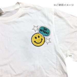 ワッペン 刺繍 おしゃれ かわいい アップリケ...の詳細画像3