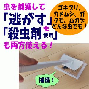 家虫キャッチャー 虫を捕獲し逃がすも殺虫剤も使える！ゴキブリ 蜘蛛 カメムシ ムカデ ガ ハチ 害虫  逃虫 触らず 害虫対策 虫取り 虫観察 駆除 日本製