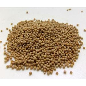 イエローマスタード（ホール）1kg入り