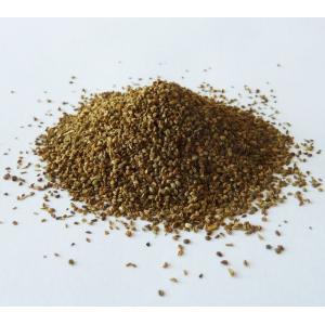 セロリシード（ホール）　500g入り