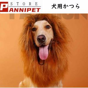 犬 かつらの商品一覧 通販 Yahoo ショッピング