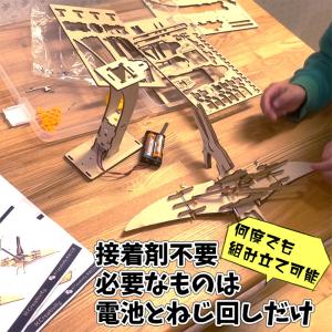 【プテラノドン】恐竜木製立体パズル 8歳から ...の詳細画像1