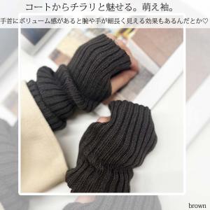 アームカバー アームウォーマー レディース 秋 冬 黒 白