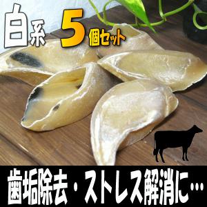 犬用■牛ヒヅメ・シュリンクスモーク 楽天市場】牛ヒヅメ スモーク(シュリンクパック) 1個入 : 健康