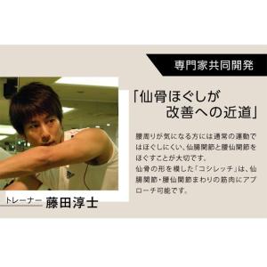 腰痛グッズ ランキングの商品一覧 通販 Yahoo ショッピング