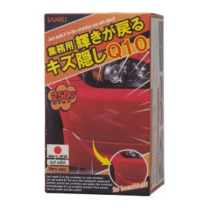 業務用 輝きが戻る キズ隠しQ10 車 小傷 傷消し 車の小傷消し タッチペン 車キズ消し コンパウンド 傷隠し｜RONNE