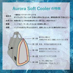 AURORA SOFT COOLER M オー...の詳細画像3