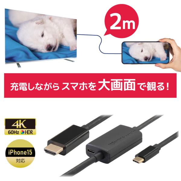 6/5〜9 P5倍＆最大2000円OFF USB Type-C to HDMI 変換ケーブル（PD対...