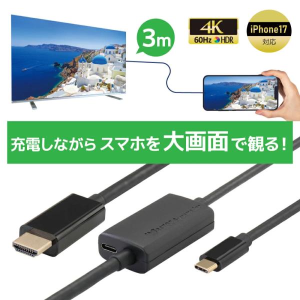 USB Type-C to HDMI 変換ケーブル（PD対応・3m）RS-UCHD4K60-3MA ...