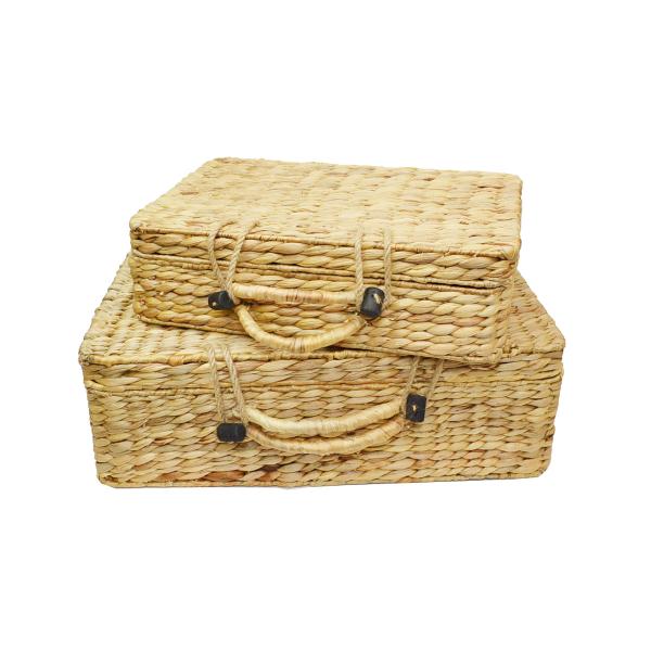 ウォーターヒヤシンス トランク バスケット 2セット かご