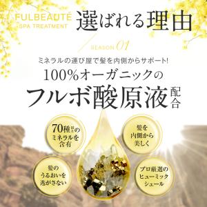 【自宅で極上ヘッドスパ】 ラウブ フルボーテ ...の詳細画像5