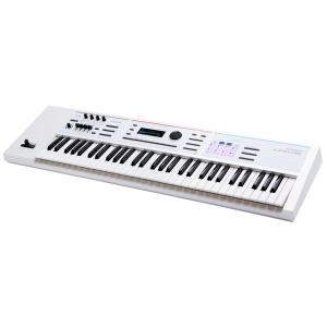 ROLAND JUNO-DS61W シンセサイザー JUNO専用ソフトケース付き｜ravi-store