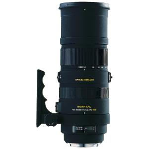 SIGMA 超望遠ズームレンズ APO 150-500mm F5-6.3 DG OS HSM キヤノン用 フルサイズ対応 737542