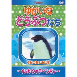 ゆかいなどうぶつたち ~イルカ・シャチ・ペンギン~ DVD｜ravi-store