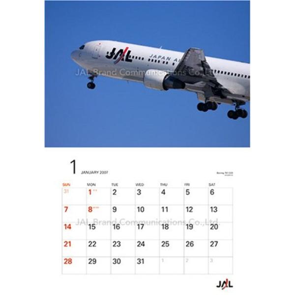 JAL FLEET 2007年カレンダー 普通判