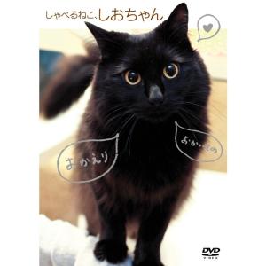 しゃべるねこ、しおちゃん DVD