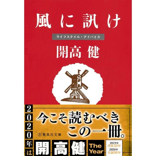 風に訊け (集英社文庫)