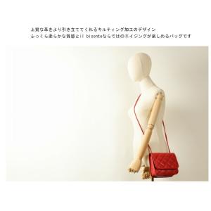 イルビゾンテ バッグ IL BISONTE イ...の詳細画像2