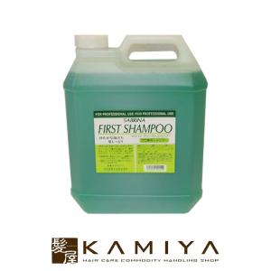 サイムダン プレミアム スーパーステム CMC シャンプー 500ml 714944