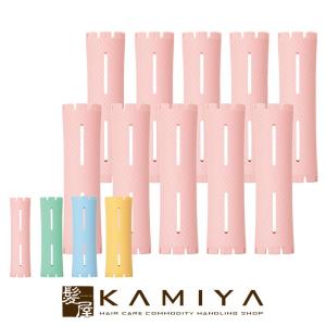 SHISEIDO（資生堂） 資生堂プロフェッショナル ディアニスト エクラ 1