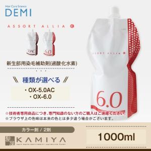 デミ アソート アリア 2剤 新生部用　1000ml  医薬部外品 美容院専売｜ray