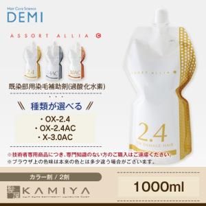 デミ アソート アリア 2剤 既染部用 1000ml 医薬部外品 美容院専売｜ray