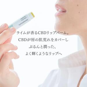 hemptouch ヘンプタッチ ハイドレーティングCBDリップバーム 4.5ml|敏感肌 保湿 オーガニック うるおう ライム 肌荒れ予防 なじむ 乾燥 なめらか ぷるん