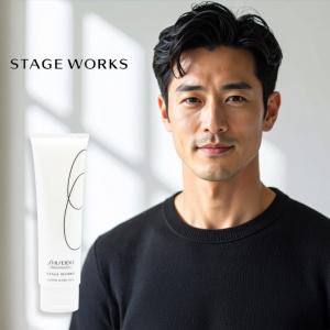 SHISEIDO STAGE WORKS まとめ売り SHISEIDO 資生堂プロフェッショナル ステージワークス パウダー