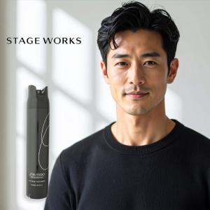 SHISEIDO 資生堂プロフェッショナル ステージワークス マルチ