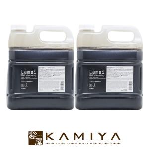 アデランス ボズレー ブラックプラス コントロール シャンプー EX2