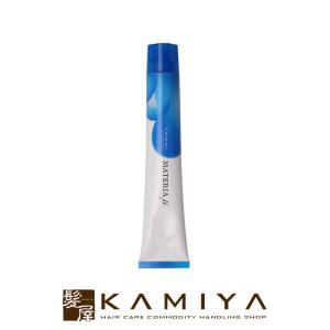 hoyu ホーユー プロフェッショナル プロマスター ピグメント