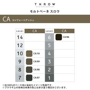b-ex スロウ コンフォートカラー 1剤 コ...の詳細画像1