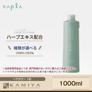no3 ナンバースリー OX 第2剤 1200ml|003 プロアクション
