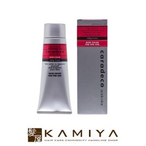 hoyu（ホーユー） プロフェッショナル プロマスター ピグメント