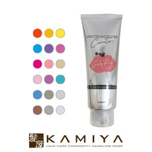 InterCosme（インターコスメ） トエル カラー トリートメント 240g