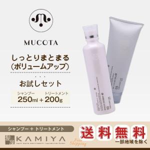 イイスタンダード サンケア シャンプー スカルプ 500mL 1個 詰替え