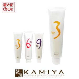 SHISEIDO（資生堂） 資生堂プロフェッショナル デザインフレックス