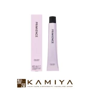 資生堂プリミエンスエンリッチ CB クールブラウン まとめ売り SHISEIDO（資生堂） 資生堂プロフェッショナル プリミエンス